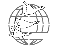 DMI College Of Engineering