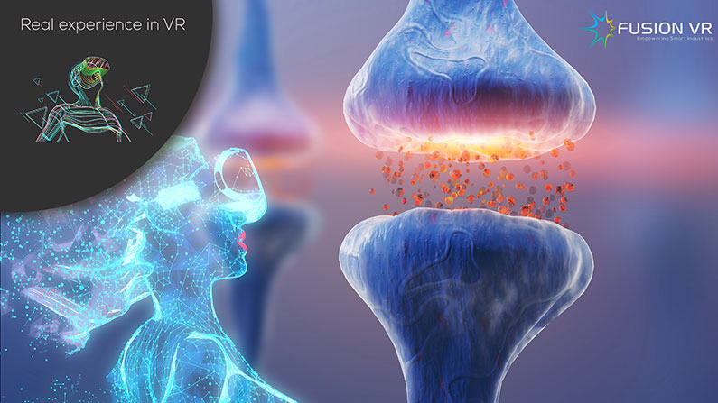 The real experience of Virtual Reality (VR) in human brain neuron functions